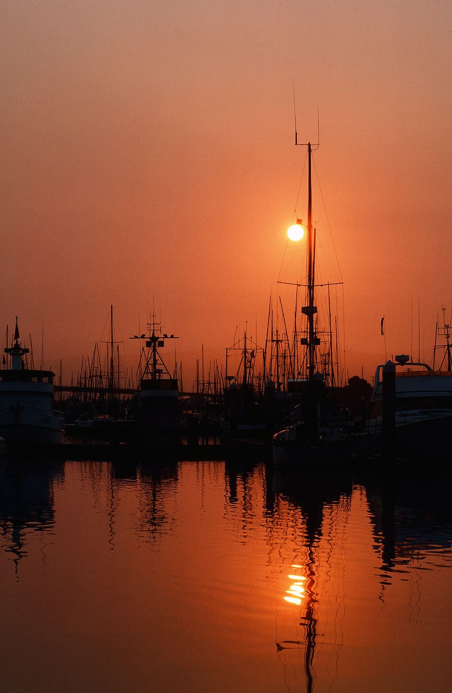 fishing boats, tied, dock, sunset, background, ocean, docked, fishing, floating, motor