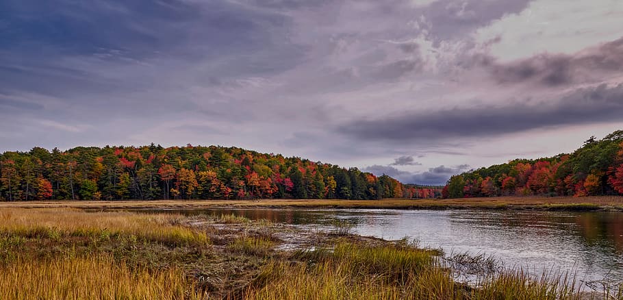 sherman lake, marsh, vermont, america, autumn, fall, landscape, new england, forest, trees