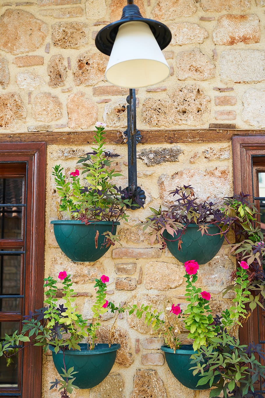 window, flowerpot, wall, flower, home, plant, nature, green, spring, vegetation