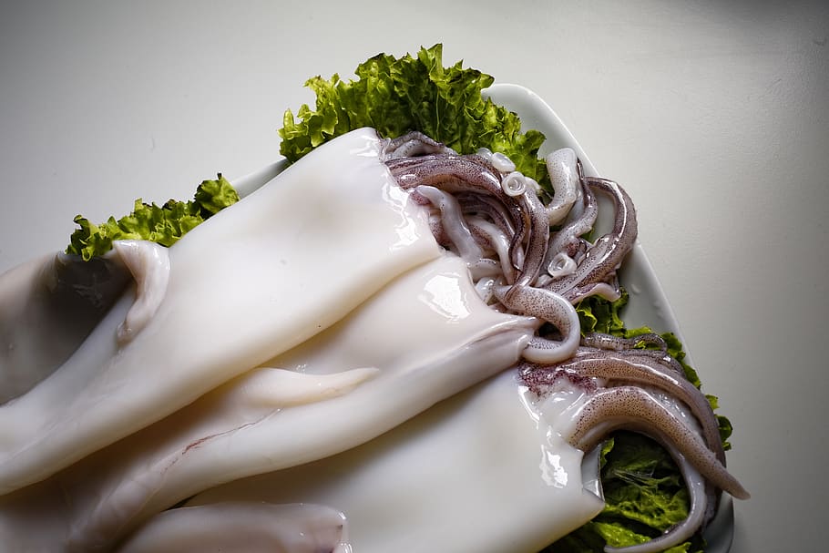 food, squid, high kitchen, rico, top chef, chef, restoration, photography of product, culinary, kitchen