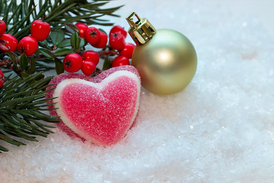 christmas, snow, berries, fir tree, advent, decoration, christmas jewelry, atmosphere, contemplative, slide