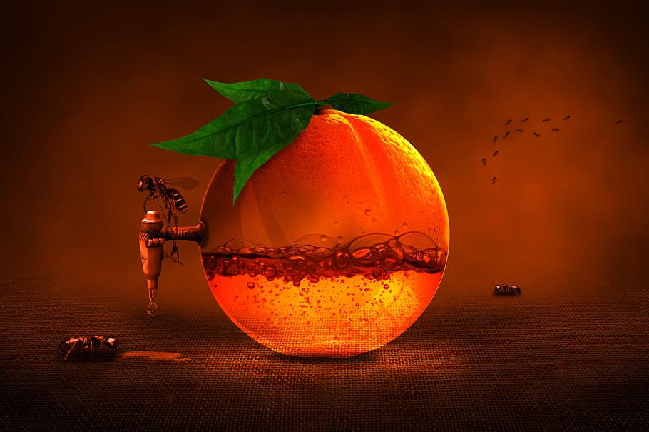 juice, extract, extraction, drink, orange, nature, fruit, food and drink, food, orange color