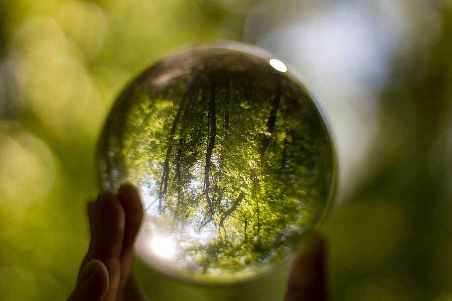 bola de cristal, bola de fotos, bola, vidrio, transparente, ronda, cristal, color, bosque, verde