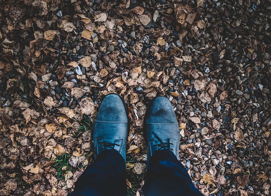 daun, musim gugur, sepatu, alas kaki, petualangan, luar, perjalanan, bagian rendah, kaki manusia, satu orang
