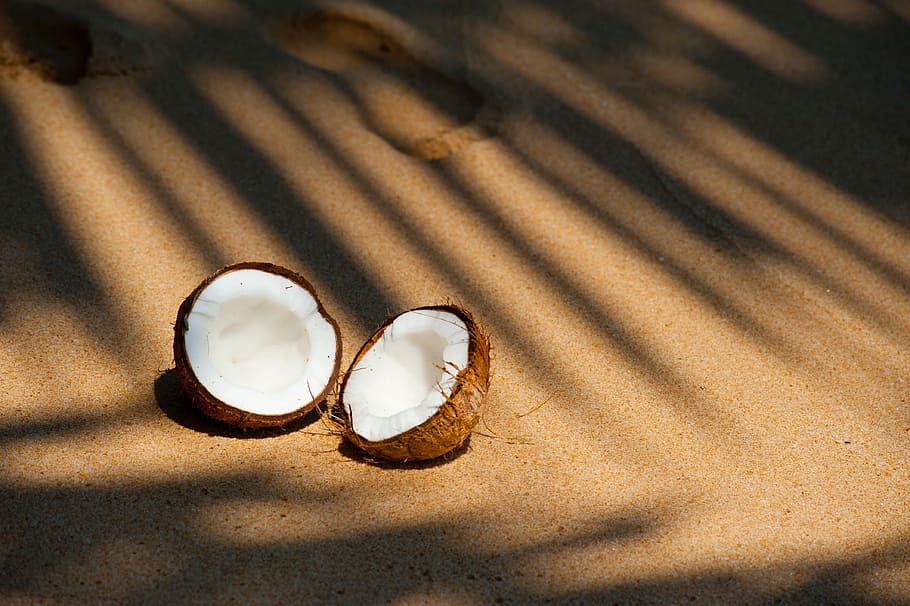 terbelah, kelapa, pasir, perjalanan, liburan, makanan, buah, kacang, putih, bayangan