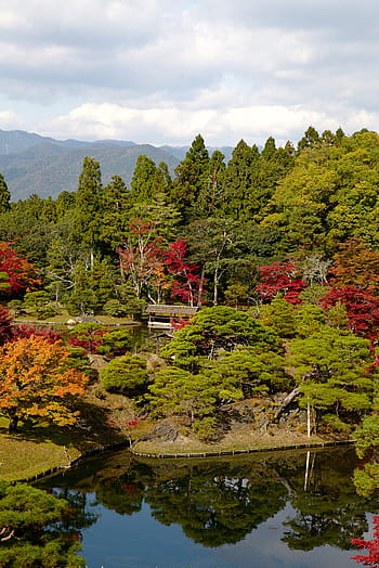 Página 7 - Fotos Kyoto Japón libres de regalías - Pxfuel