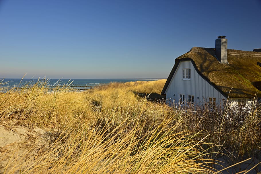 casa, cabaña con techo de paja, duna, paisaje de dunas, costero, paisaje, naturaleza, mar báltico, norte de alemania, cielo