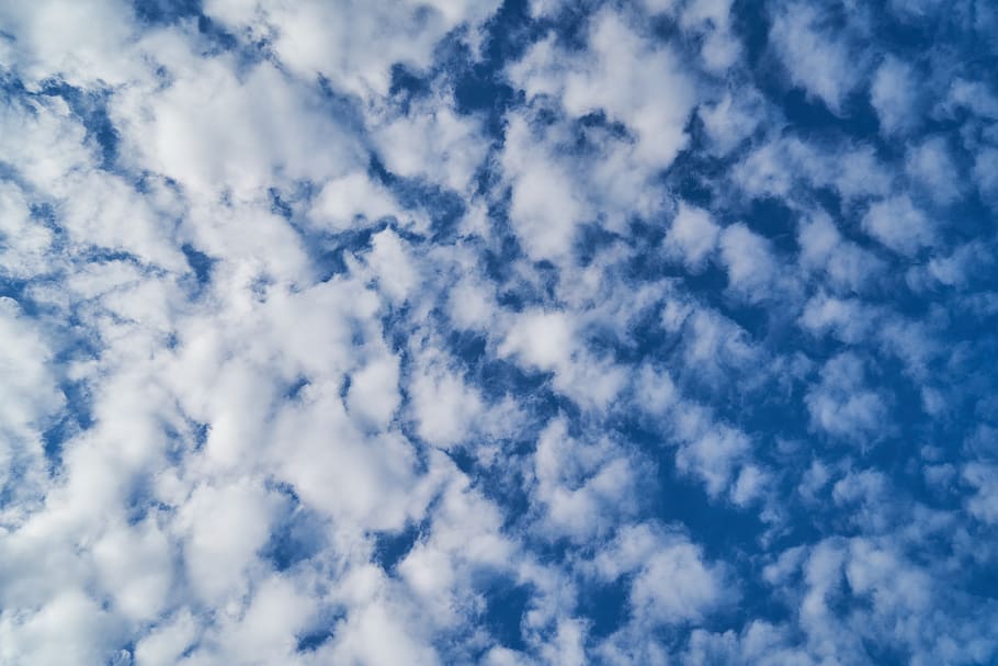 awan, biru, putih, udara, latar belakang, pola, tekstur, langit, alam, cumulus