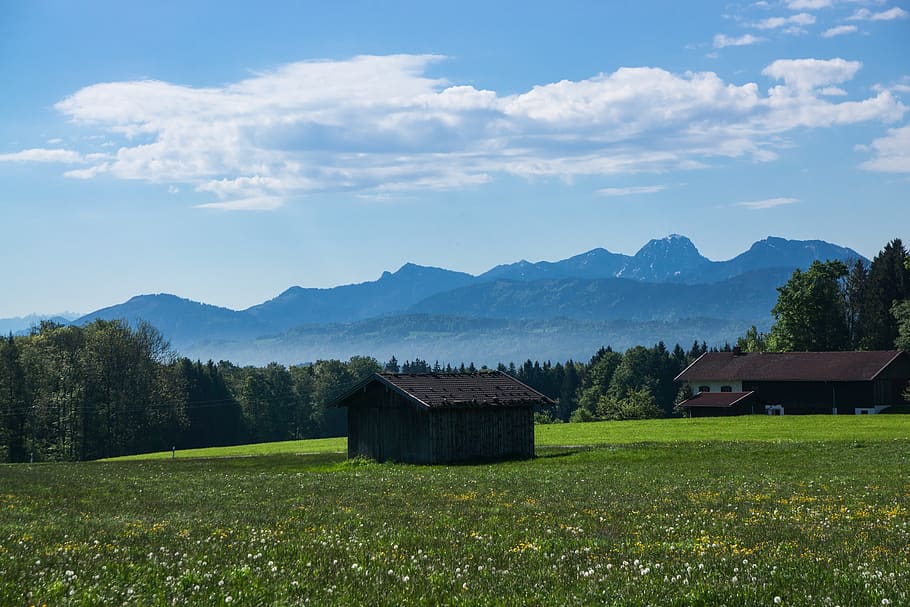 Панорама альпийская ул 7 7