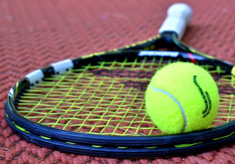 tennis, racket, tennis ball, sport, court, exercise, game, equipment, ball, sports equipment