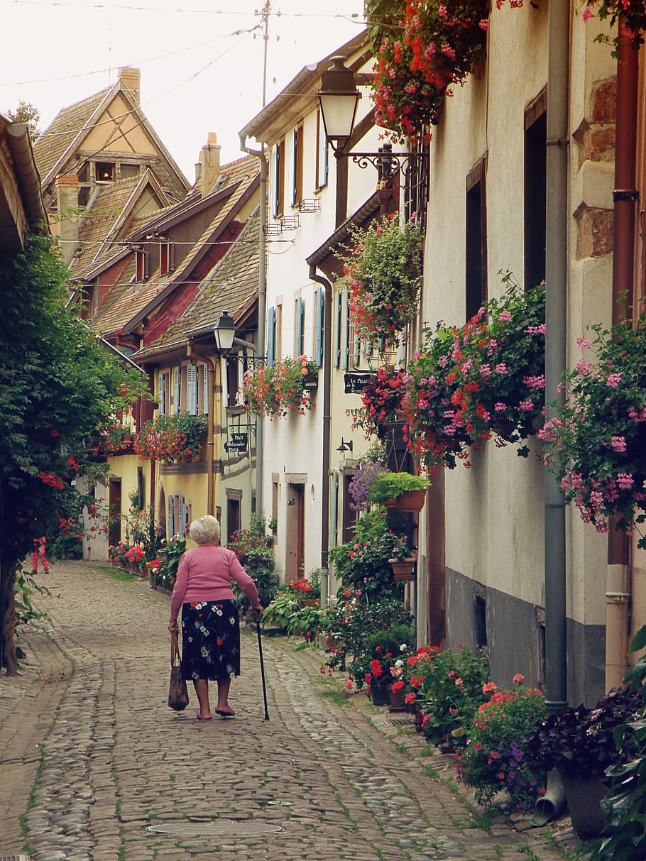 Alsacia, Francia, histórica calle romántica, casas con entramado de madera, la anciana, la abuela, la arquitectura europea, el pintoresco pueblo de, casas antiguas, noslagické