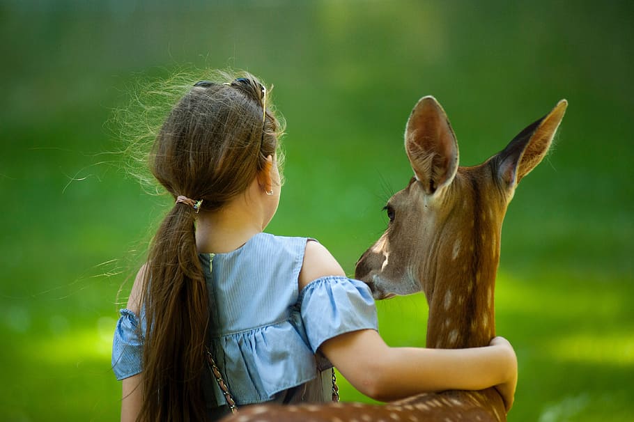 young, girl, deer, reindeer, animal, happy, cuddle, friends, female, pet