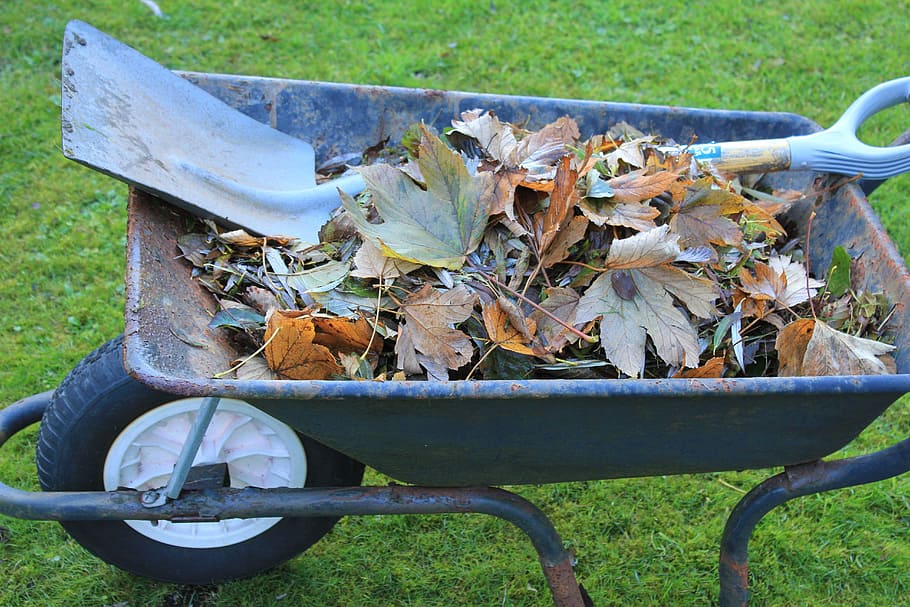 wheelbarrow, tools, garden, work, equipment, barrow, shovel, leaves, autumn, fall