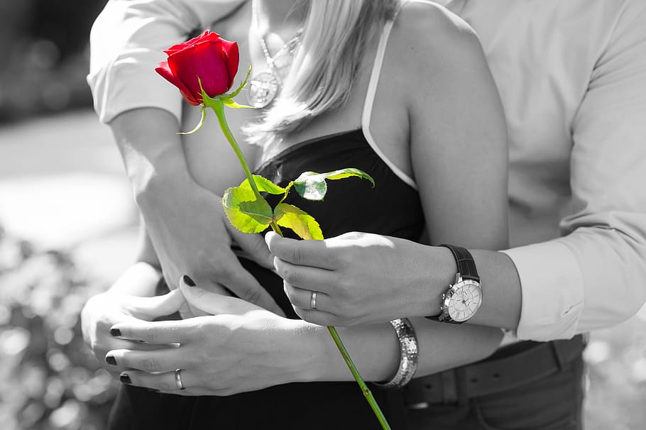 red rose, love, romantic, couple, romance, gift, hugs, black and white, true love, true love never dies
