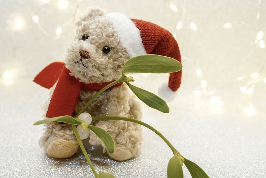 christmas, advent, teddy, teddy bear, bear, nicholas, cute, sweet, christmas greeting, christmas card