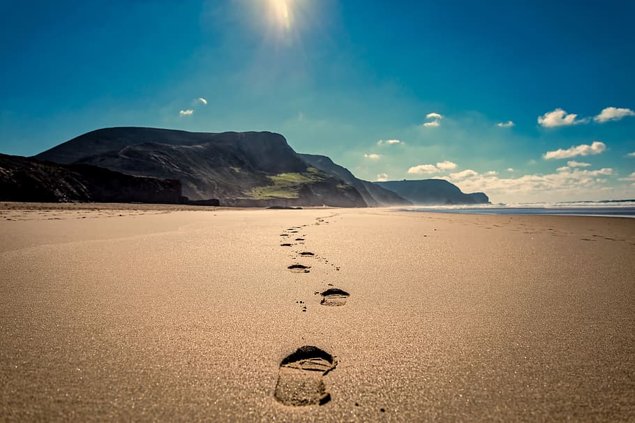 footsteps, beach, sand, sea, ocean, journey, coast, path, outdoor, imprint
