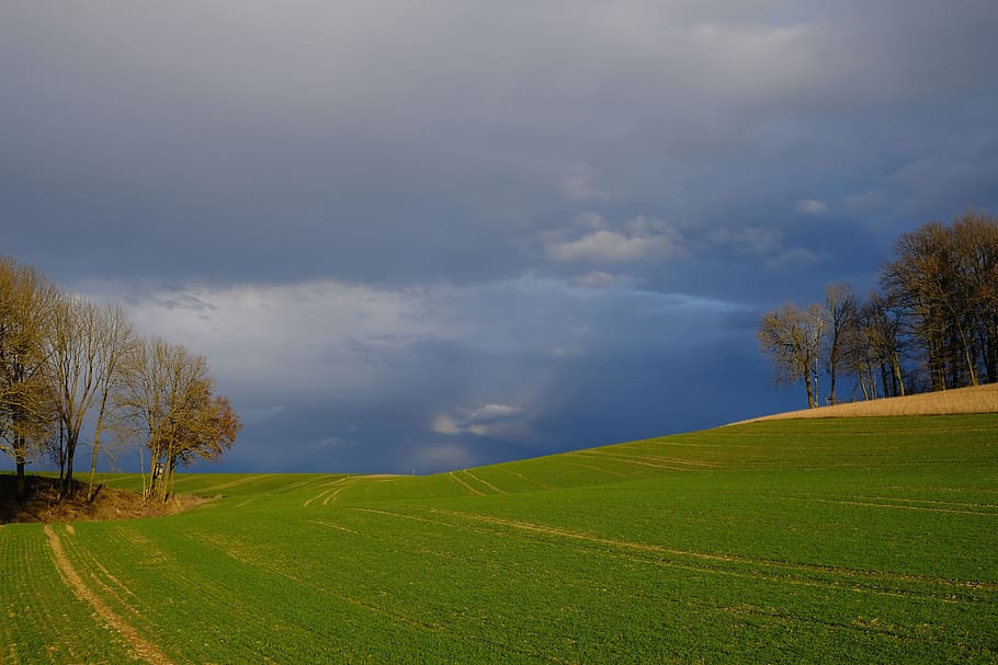 nature, landscape, mood, contrast, heaven and earth, clouds and sun, light and darkness, plant, tree, tranquil scene