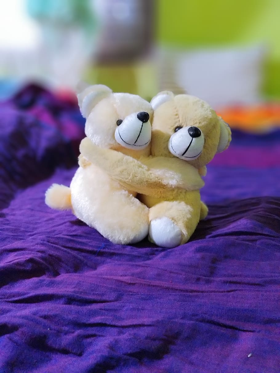 pasangan teddy, imut, cinta, beruang, romantis, manis, kedekatan, mainan, boneka mainan, representasi hewan