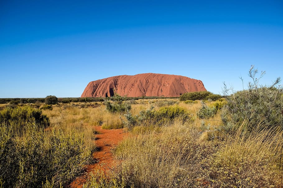 ayers rock, australia, hito, arbusto, rojo, escénico, patrimonio, piedra, geología, interior