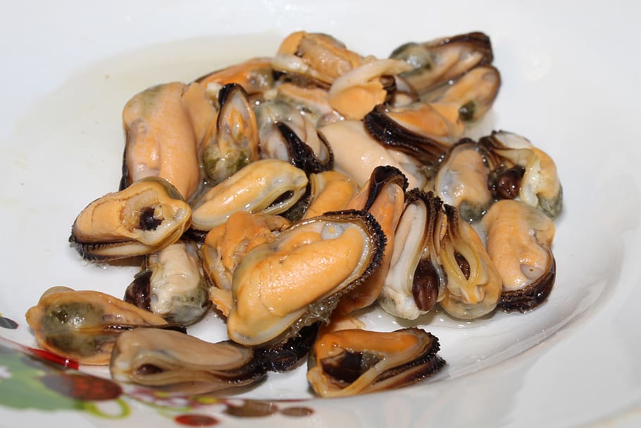 mussels, shellfish, butter, on a plate, white, black, orange, food, snack, delicious