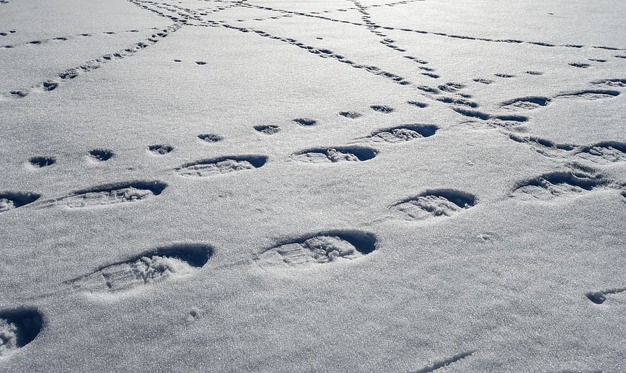 snow, traces, snowshoes, winter, cold, white, sport, mountain, cold temperature, land