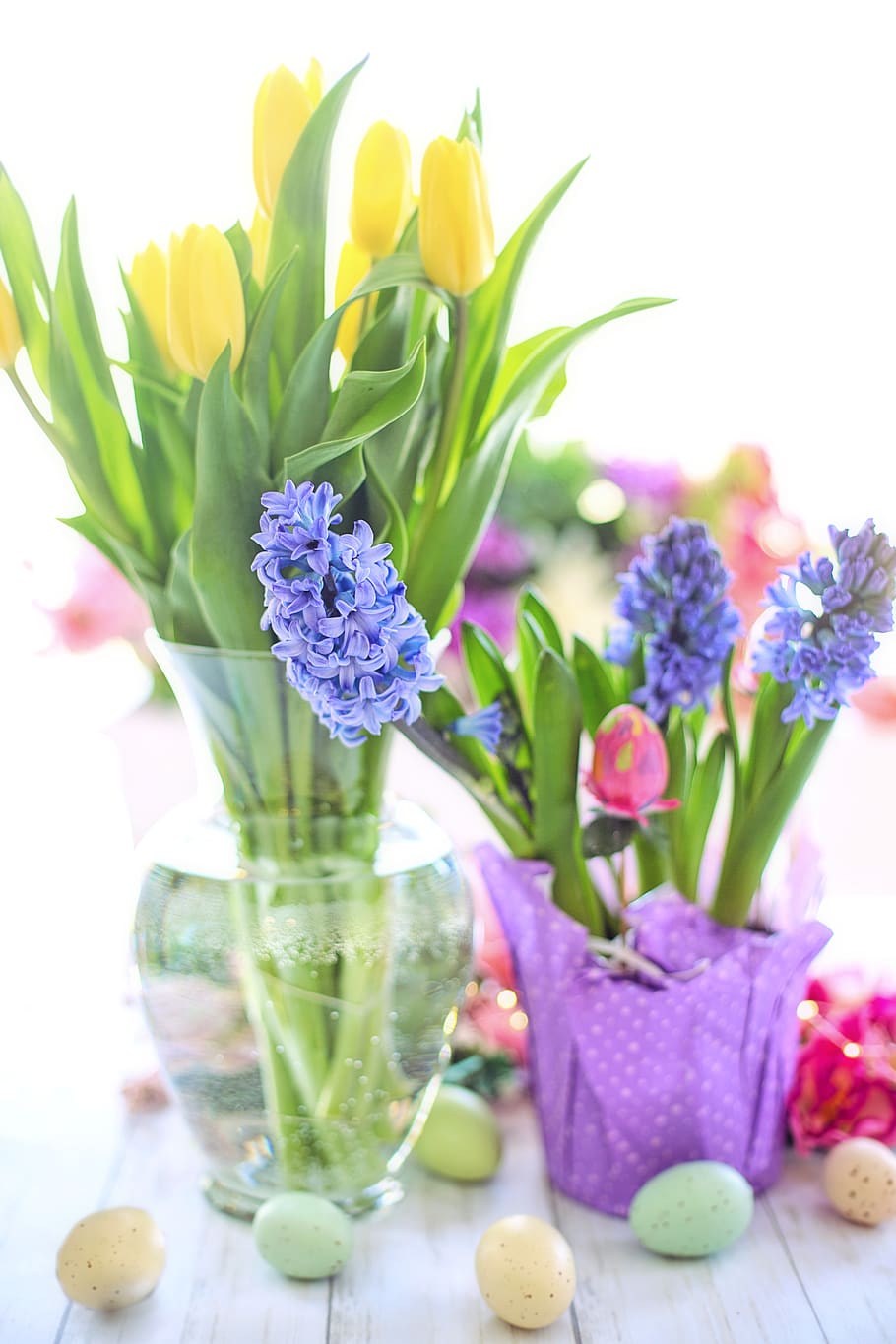 easter, hyacinth, purple, eggs, flowers, spring, nature, blossoms, yellow, tulips