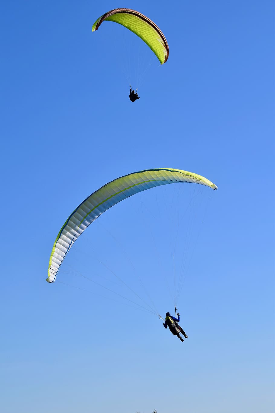 paragliding, paraglider, sails, wings, fly, aircraft, adventure, sport, thermal, wind