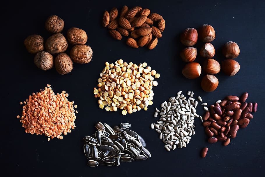 legumes, nuts, health, hazelnuts, lens, beans, sunflower, sunflower seeds, games, walnuts