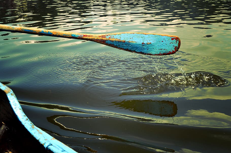 paddling, boats, fun, leisure, nature, play, sea, water, rippled, reflection