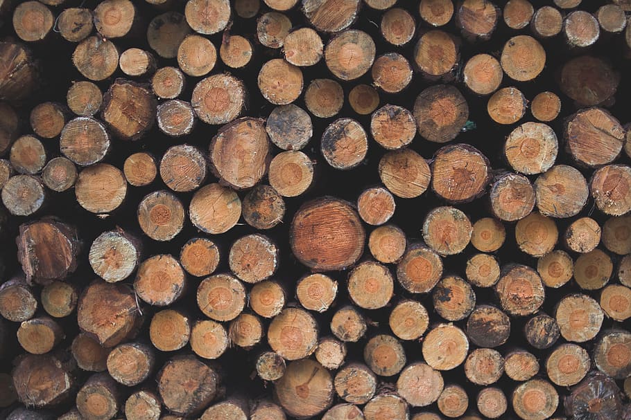 besar, cincang, batang kayu, kayu, hutan, dipotong, ditumpuk, log, full frame, kayu bakar