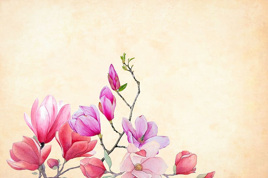 pink, flowers, textures light background, flower, background, watercolor, floral, border, garden frame, spring