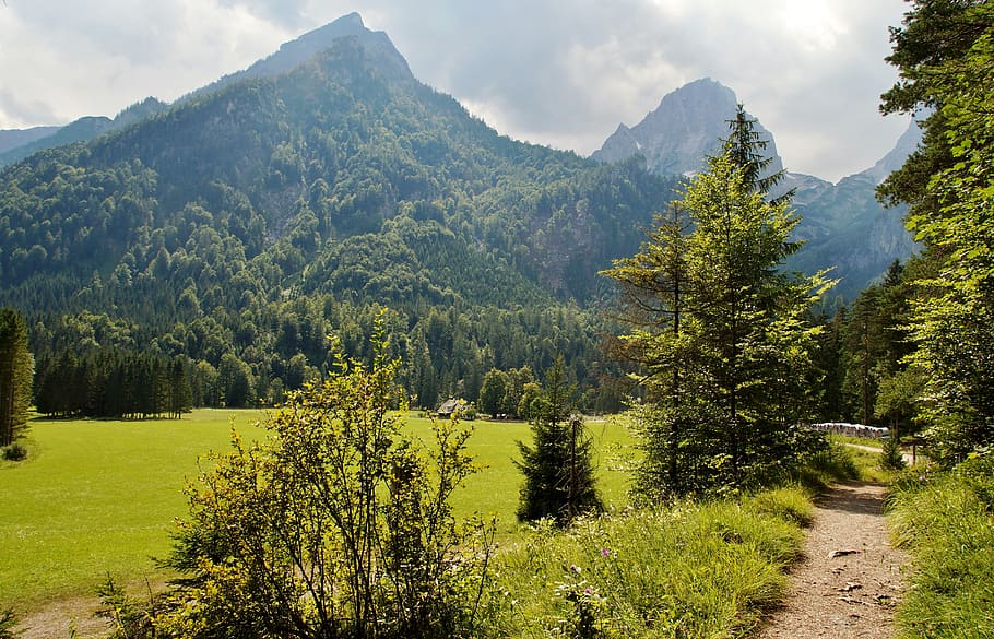 austria, alps, mountains, landscape, alpine, summer, path, valley, tourism, alm