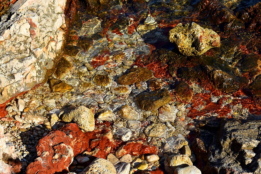 reflexión, destello, brillo, mar, agua, rocas, guijarros, orilla, piedra, frente al mar