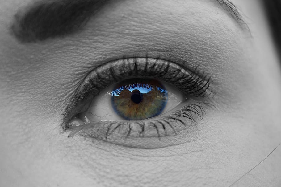 olhos, cílios, reflexão, garota, mulher, olho, olho humano, parte do corpo, parte do corpo humano, visão