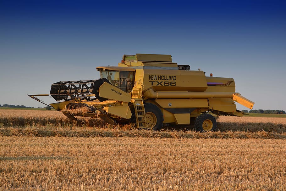 combine harvester, new holland, farm, harvest, nature, rolling harvest time, agriculture, cattle feed, working machine, summer