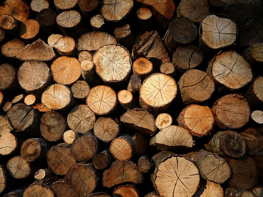 wood, logs, bucheronnage, light, log, timber, firewood, lumber industry, full frame, wood - material