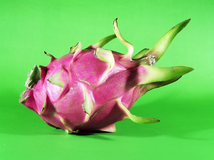 dragon fruit, exotic, fruit, green, pink, colored background, studio shot, freshness, food and drink, healthy eating