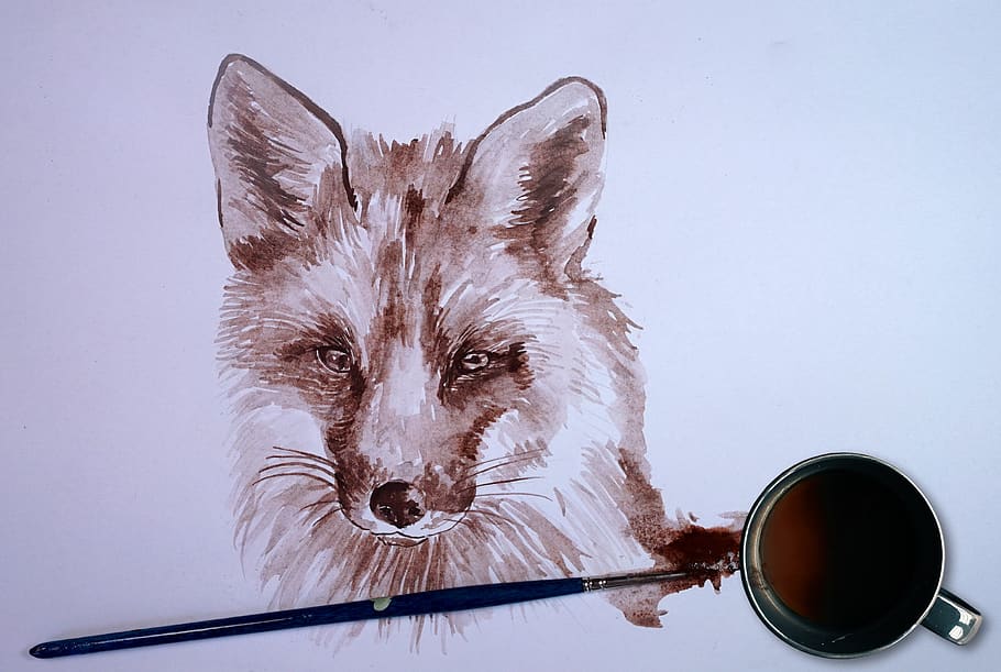 fox, coffee, paint, animal, painting, watercolor, artistic, pet, aquarelle, vintage