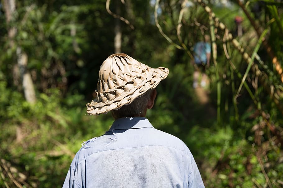 old, man, straw hat, walking, forest, adult, green, hat, moving, outdoors