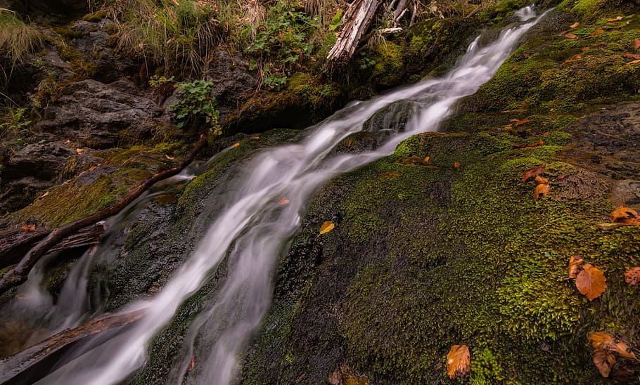 stream, water, green, moss, leaf, fall, nature, grass, landscape, waterfall
