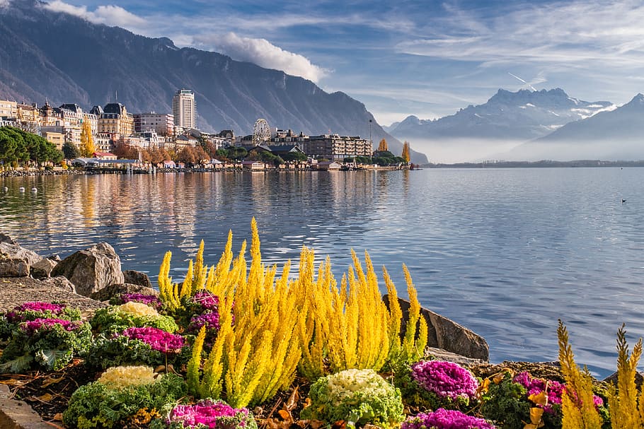 lake, mountains, landscape, montreux, switzerland, water, beauty in nature, mountain, flower, plant