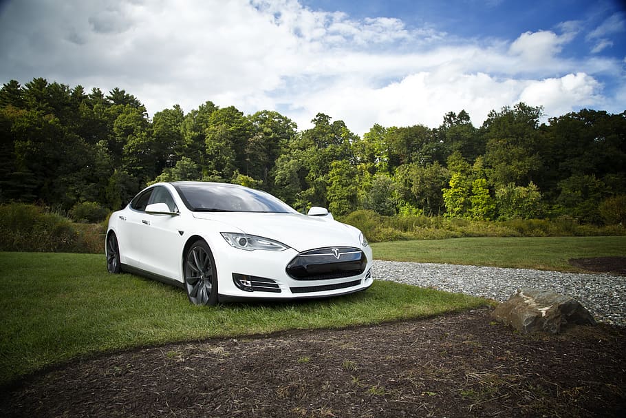 coche, eléctrico, Tesla, coche eléctrico, blanco, vehículo, transporte, auto, energía, alternativa