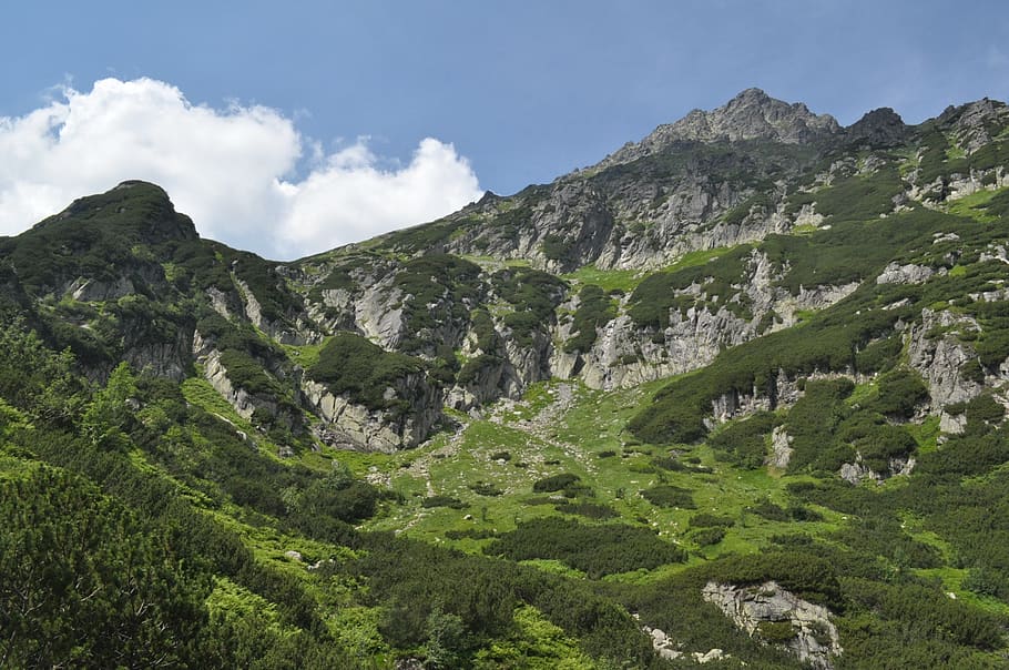 tatry, polska, mountain, poland, summer, lato, sky, beauty in nature, plant, scenics - nature