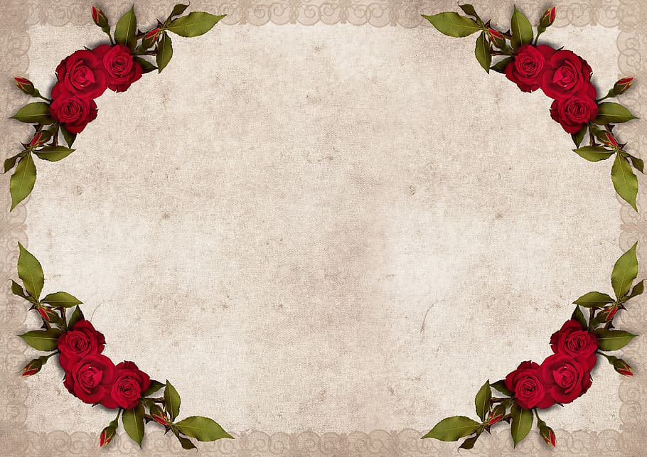 frame, roses, background, vintage, flowers, red roses, decoration, paper, template, greeting card