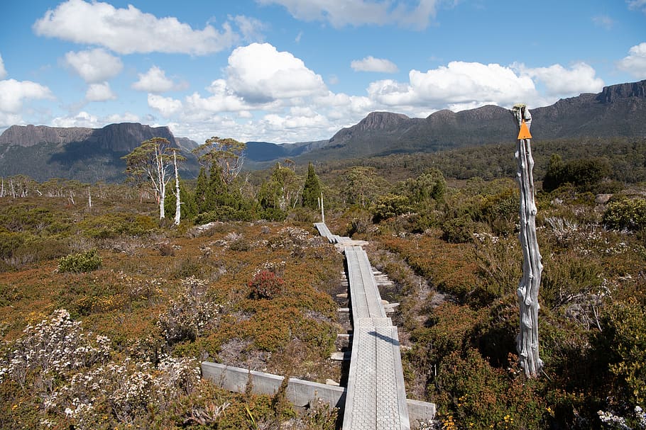 overland track, tasmania, wilderness, nature, landscape, scenic, hike, track, outdoors, scenery