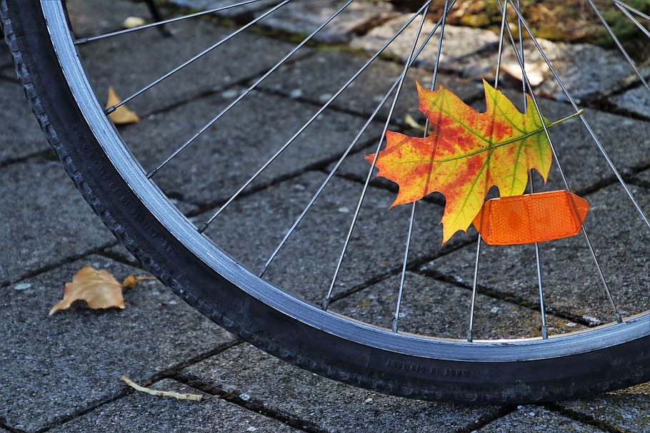 bike, spokes, orange, in the fall, leaf, in the shadows, autumn, oct, sunny, foliage