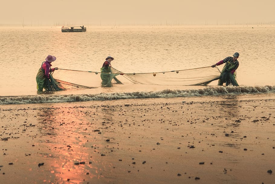 china, campo, vila de pescadores, nascer do sol, água, manhã, trabalho, mar, agua, ocupação