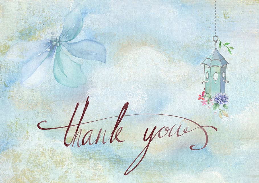 ThankYou, thanks, graphic, text, western script, communication, indoors, art and craft, message, creativity