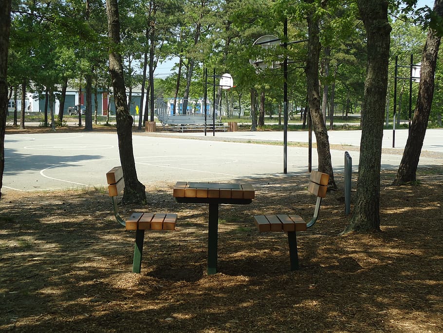 park, picnic, table, bench, shade, tree, seat, plant, trunk, tree trunk