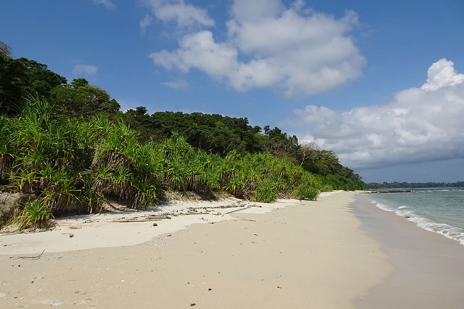 Free download | beach, bay, vegetation, littoral, sea, island, ross ...